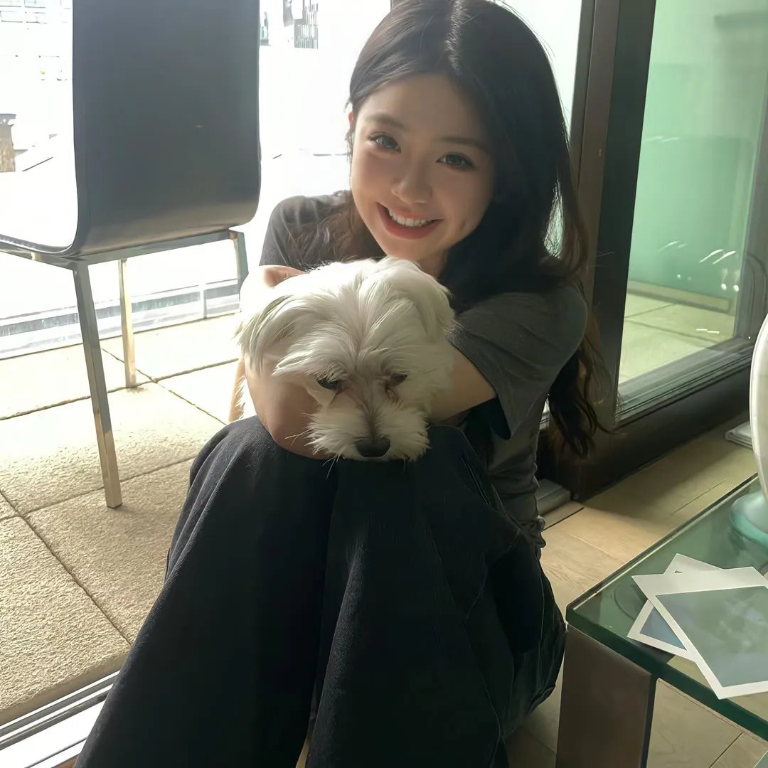 红色翅膀:火烈鸟故事